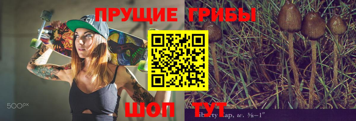 Галлюциногенные грибы Cubensis Феодосия